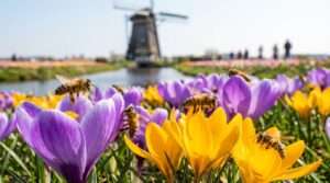 Plant deze makkelijke lentebloem die bijen blij maakt – verras je tuin of balkon