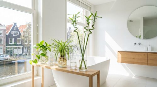 3 kamerplanten die zonder aarde in water groeien en je badkamer fris houden